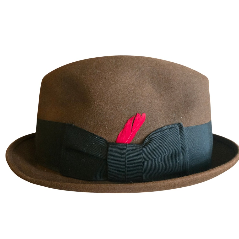 Darwin Deluxe Quality Brown Felt Fedora Hat Black Ribbon Red Feather Mens